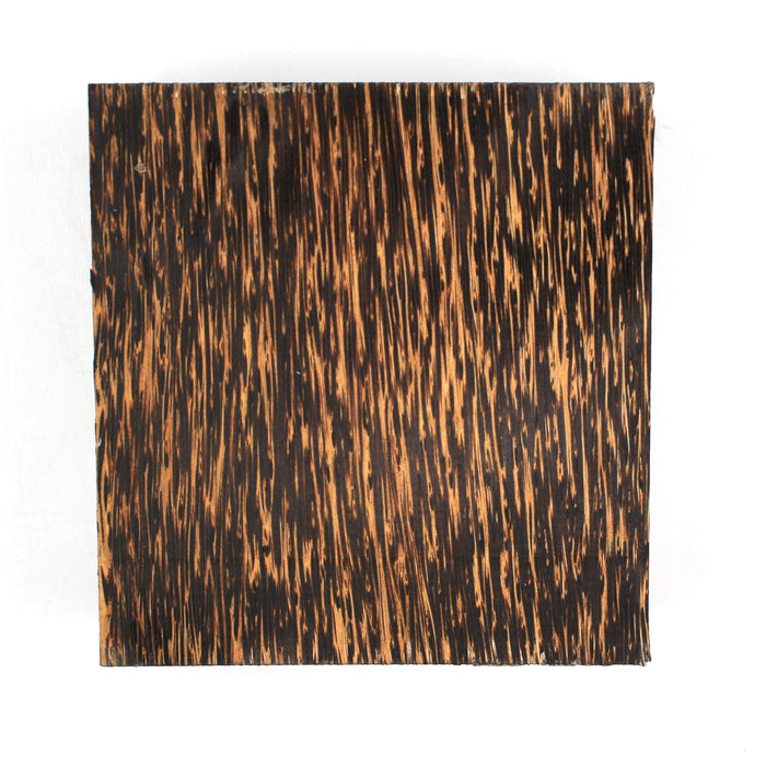 Black Palm 6" square x 2" thick (15.24cm x 5.08cm)